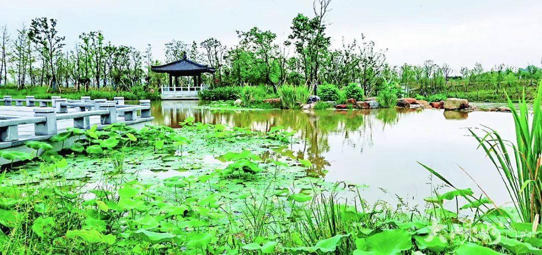 嵊州艇湖城市公园已开园,这些景点太美了