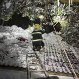 惊险！嵊州一民房被大树压顶，消防队紧急救援